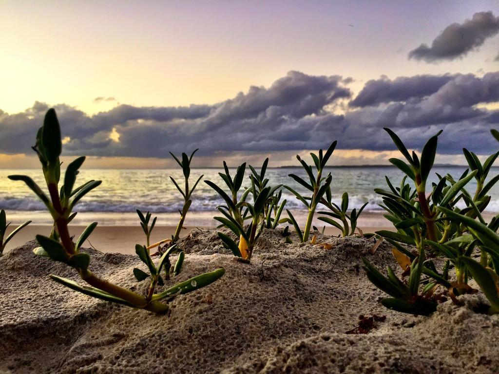 Stradbroke Island Beach Hotel Point Lookout Bagian luar foto