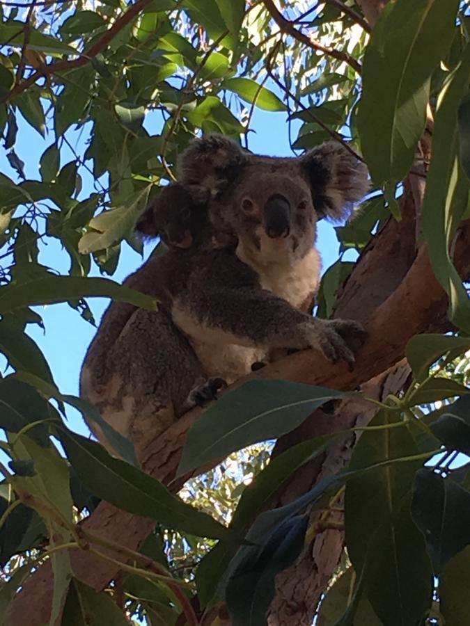 Stradbroke Island Beach Hotel Point Lookout Bagian luar foto